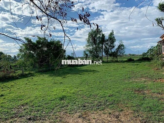 bán đất biệt thự mặt tiền đường Gò sắn Vườn đào