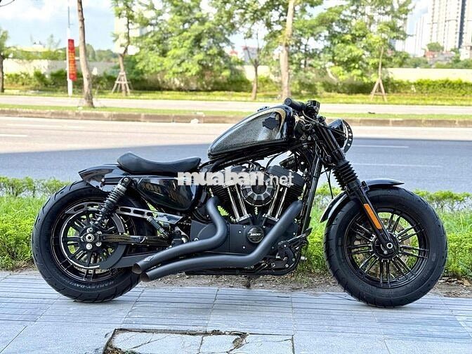 Harley 48 2019 custom full bobber