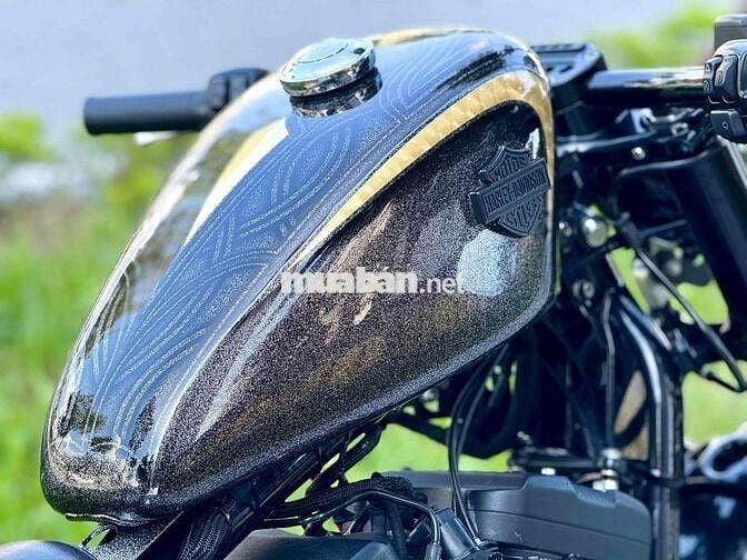 Harley 48 2019 custom full bobber