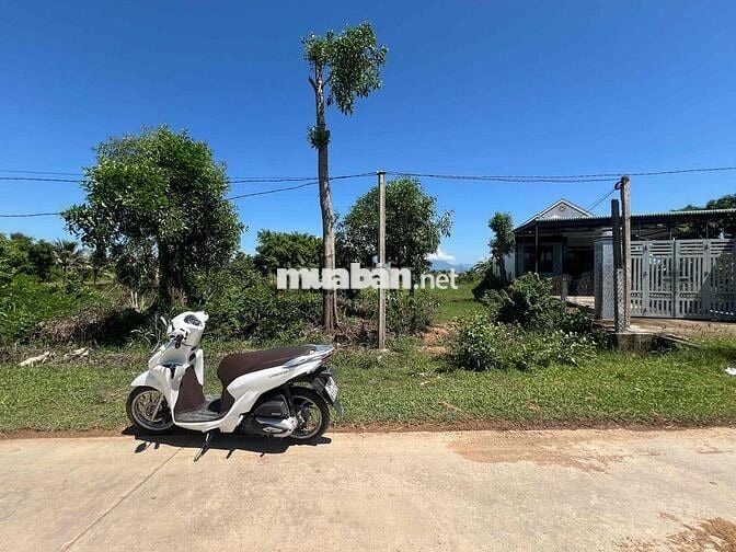 bán đất biệt thự mặt tiền đường Gò sắn Vườn đào