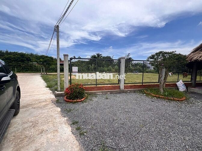 BÁN ĐẤT THỔ gần KCN PHƯỚC ĐÔNG giá 780tr Gia Lộc ,Trảng Bàng DT 200M2