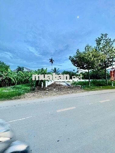 Bán Đất Mặt Tiền Đường Cầu Tàu Thuận An