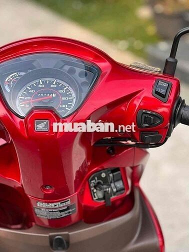 Vison 2019 , Bao đăng ký mới