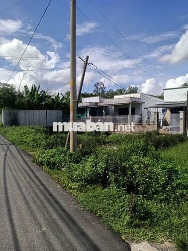 Bán 5000m đất đường Dương Đình Cúc, Tân Kiên , Bình Chánh