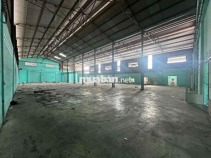 cho thuê kho dg Bùi Cẩm Hổ Tân Thới Hòa, Tân Phú DT 1000m2 giá 99tr
