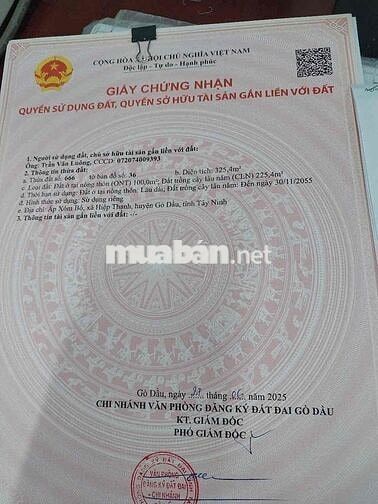 NHÀ KIÊN CỐ 13x25MÉT, CÓ THỔ CƯ, M.TIỀN NHỰA, DÂN ĐÔNG H.GÒ DẦU