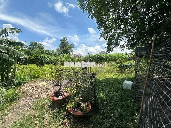 Đất Chính chủ có sổ full thổ, 2 mặt tiền, hẻm xe hơi