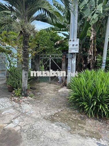 Đất Chính chủ có sổ full thổ, 2 mặt tiền, hẻm xe hơi