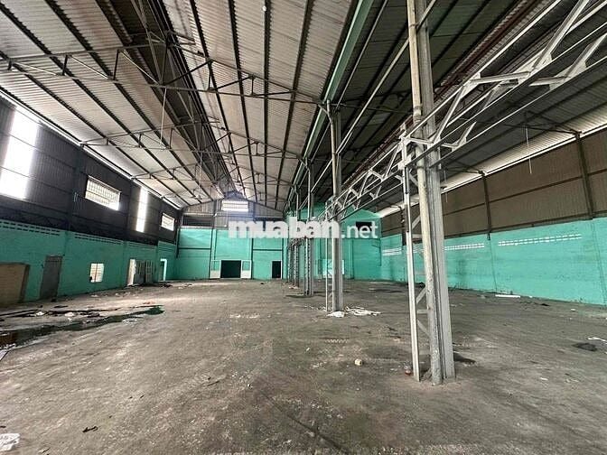 cho thuê kho dg Bùi Cẩm Hổ Tân Thới Hòa, Tân Phú DT 1000m2 giá 99tr