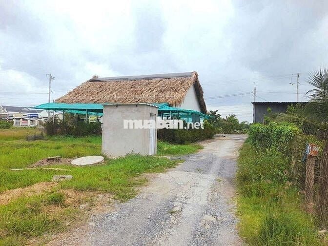 Quá ngộp, 147m2 đất thổ cư 5 x 29.5m đường ô tô huỳnh văn đảnh, 435tr