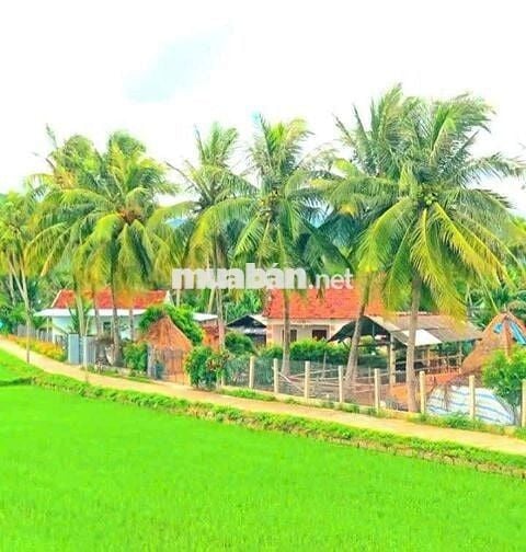 Hàng vip, 500m2 đất vườn view sông cực đẹp 350tr
