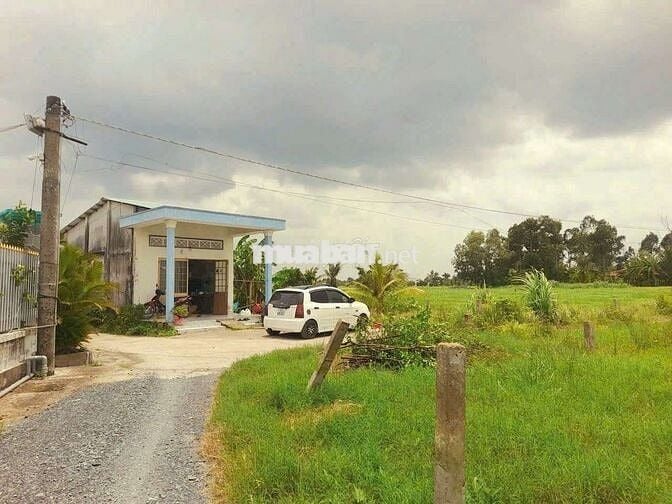 Quá ngộp, 147m2 đất thổ cư 5 x 29.5m đường ô tô huỳnh văn đảnh, 435tr