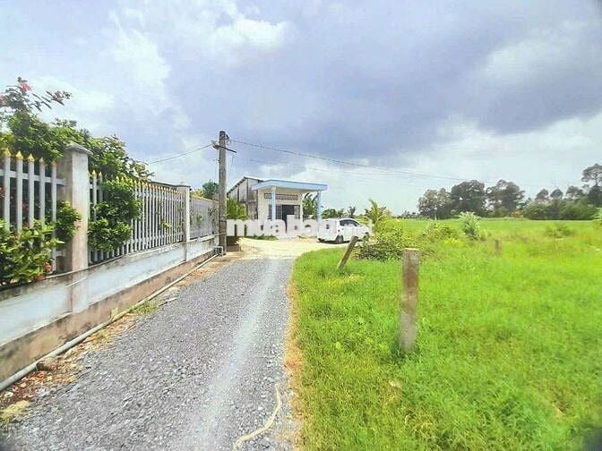 Quá ngộp, 147m2 đất thổ cư 5 x 29.5m đường ô tô huỳnh văn đảnh, 435tr