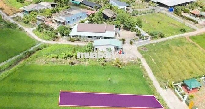 Quá ngộp, 147m2 đất thổ cư 5 x 29.5m đường ô tô huỳnh văn đảnh, 435tr
