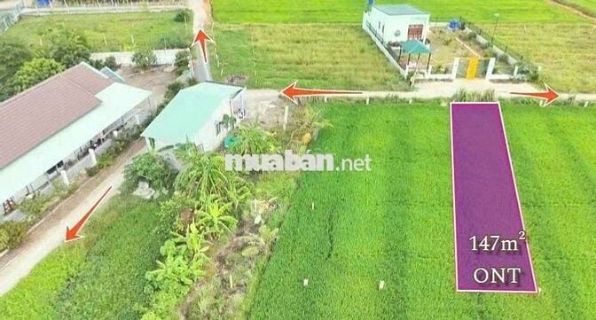 Quá ngộp, 147m2 đất thổ cư 5 x 29.5m đường ô tô huỳnh văn đảnh, 435tr