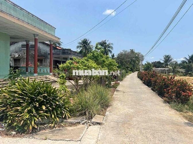 dt:95m2, giá :290tr ,bình lãng - tân trụ - long an