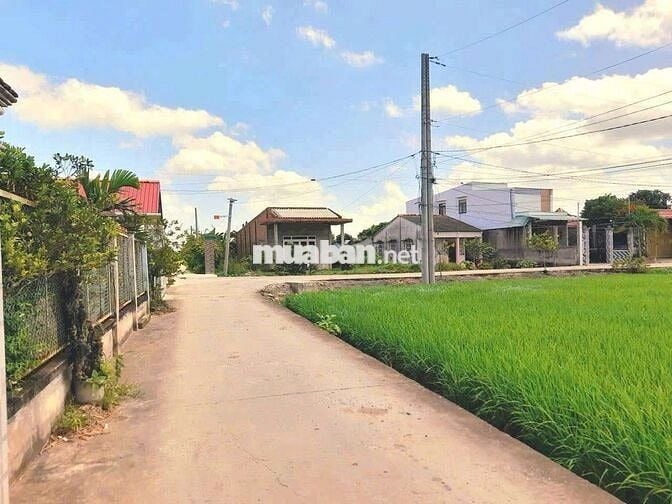 Hàng ngộp, chỉ 490tr sở hữu 175m2 đất thổ cư đường ô tô