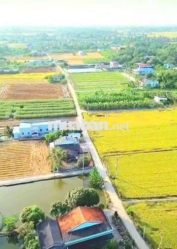 Hàng ngộp, chỉ 490tr sở hữu 175m2 đất thổ cư đường ô tô