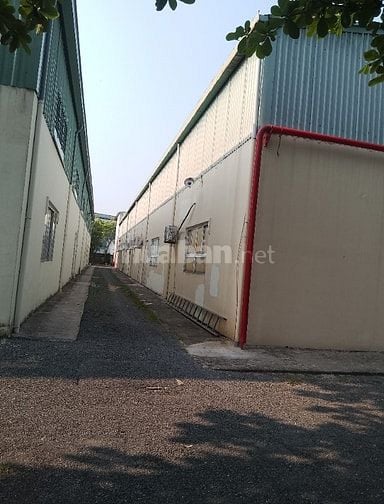 cho thuê nhà xưởng hoặc kho hàng