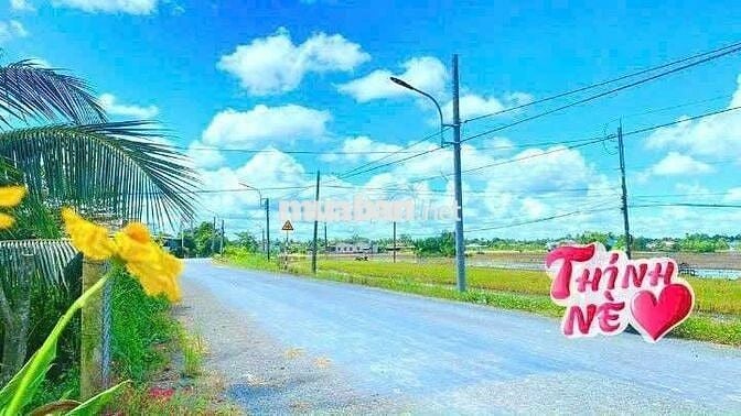 Hàng ngộp, 200m2 đất thổ cư đường xe cont Bình An, chỉ 990tr