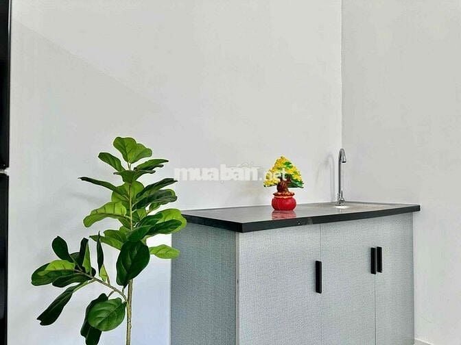 Cho thuê studio full nội thất - cửa sổ - Ngay Nguyễn Sơn