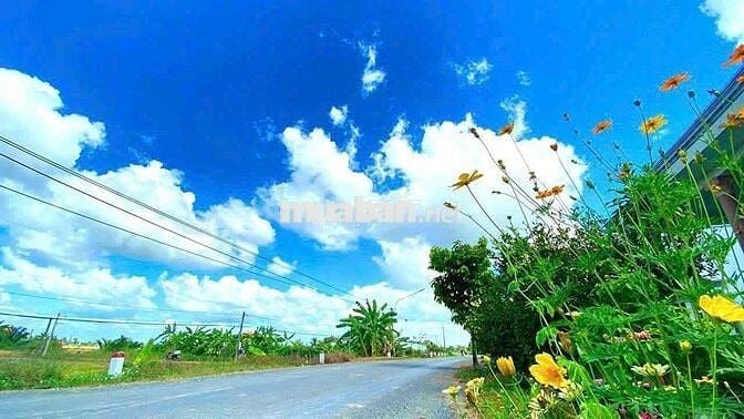 Hàng ngộp, 200m2 đất thổ cư đường xe cont Bình An, chỉ 990tr