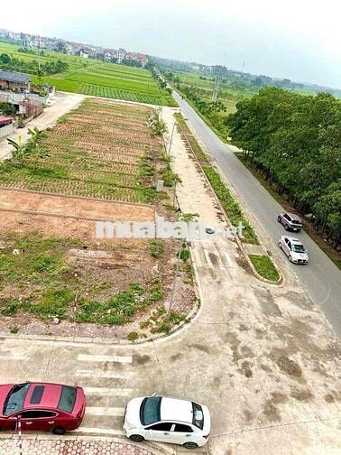 Đất đấu giá - 95m - Tân Thái , Hiền Ninh , Sóc Sơn