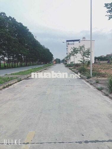 Đất đấu giá - 95m - Tân Thái , Hiền Ninh , Sóc Sơn