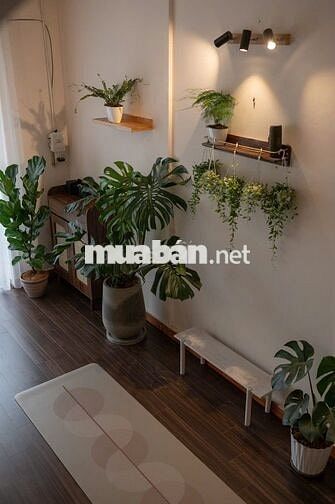 Nhà đẹp mặt tiền –Kim Đồng, Đà Lạt – 50.26m² – Giá 5.9 tỷ