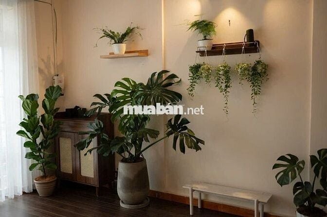 Nhà đẹp mặt tiền –Kim Đồng, Đà Lạt – 50.26m² – Giá 5.9 tỷ