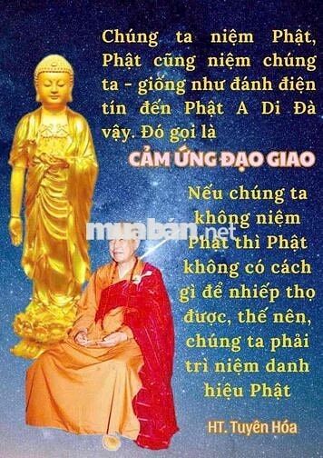 cho thuê nhà Huỳnh Tấn Phát 4.5x17.5 giá 20 tr/ tháng