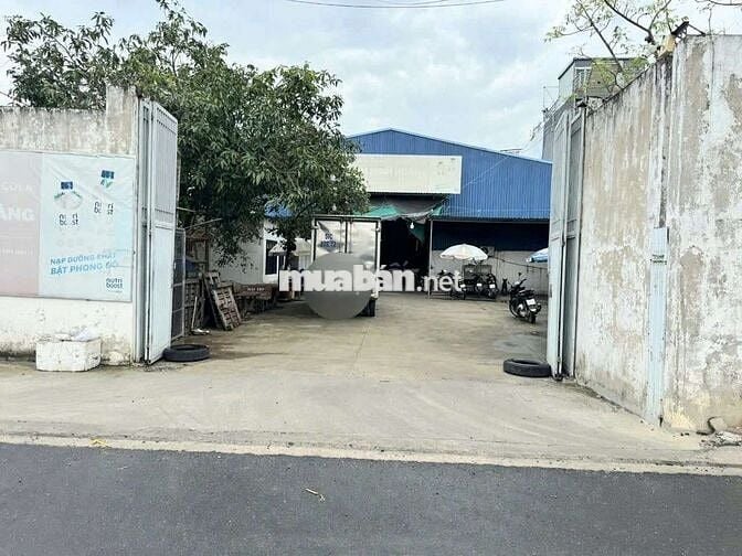 Xưởng cho thuê thạnh Xuân hóc môn giá 55 tr