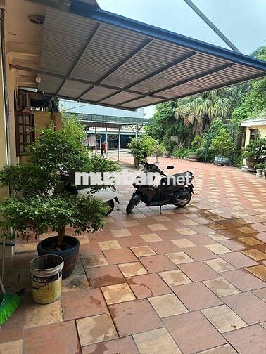 Căn hộ độc lập không chung chủ, 20-25m2