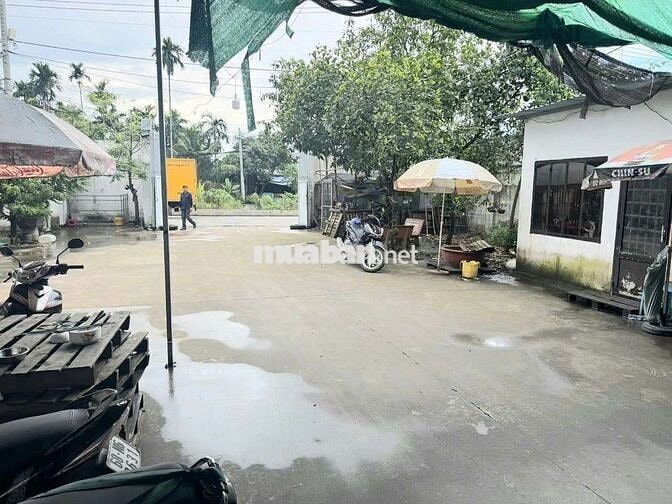 Xưởng cho thuê thạnh Xuân hóc môn giá 55 tr