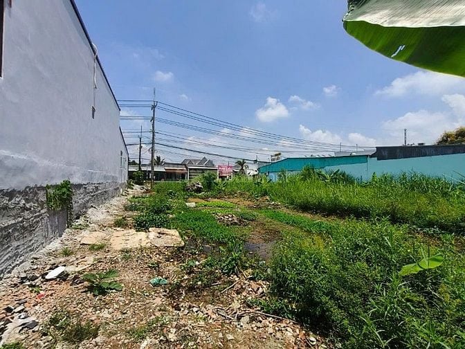 Đất mặt tiền Quốc lộ 80 ở xã mong thọ B, Châu Thành, Kiên Giang.