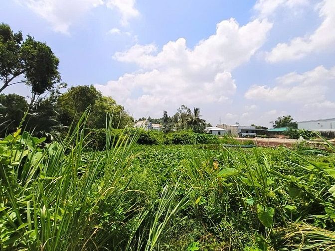 Đất mặt tiền Quốc lộ 80 ở xã mong thọ B, Châu Thành, Kiên Giang.