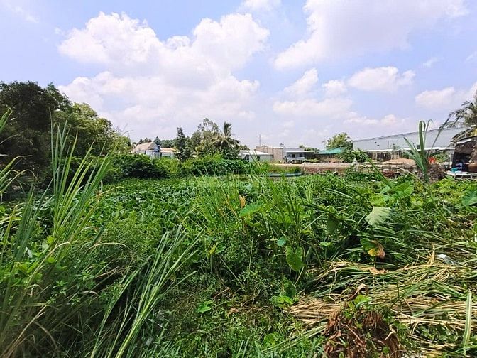 Đất mặt tiền Quốc lộ 80 ở xã mong thọ B, Châu Thành, Kiên Giang.