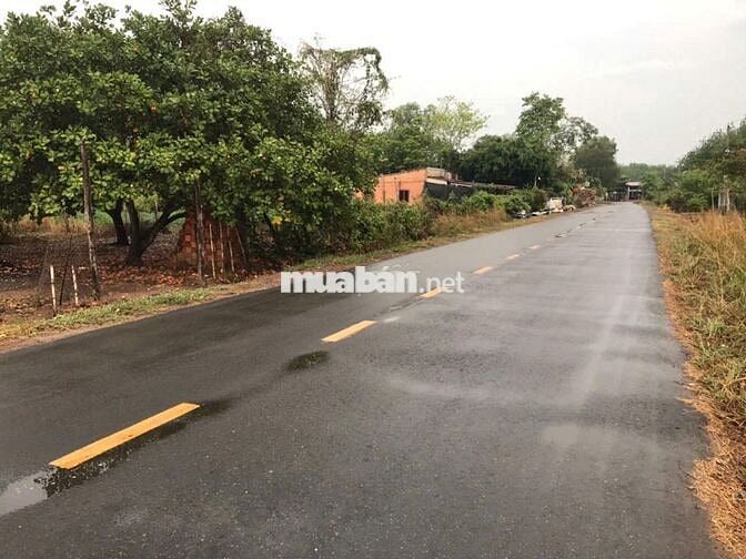 Chính chủ bán lô đất biệt thự sổ hồng - thổ cư ,mặt tiền đường nhựa