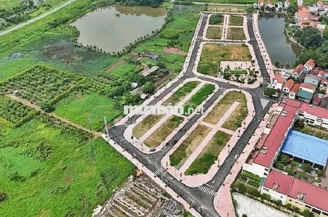 CHÍNH CHỦ CẦN BÁN GẤP LÔ ĐẤT 570M SẴN 100M2 THỔ CƯ, TRỤC CHÍNH PHÚ MÃN