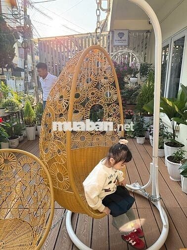 Nhà Phố Hẻm Xe Hơi (>6m), Phan Chu Trinh, Đà Lạt - sổ hồng - 5,8ty