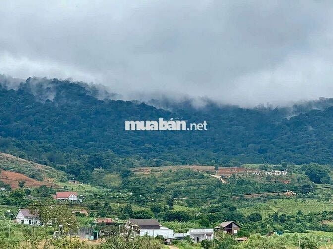 CẦN TIỀN CHỦ BÁN NHANH LÔ ĐẤT VƯỜN CÓ SẴN HOME - TÀ NUNG, ĐÀ LẠT.
