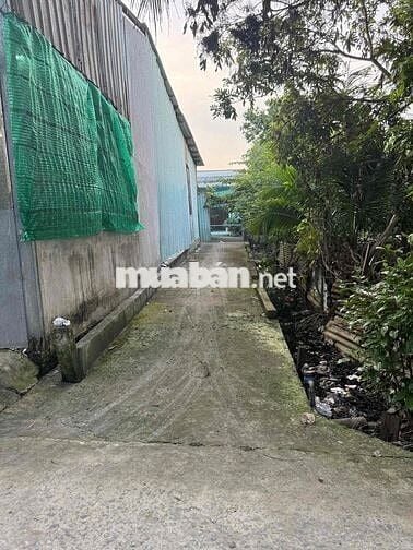 cần bán đất nền diện tích 254m2
