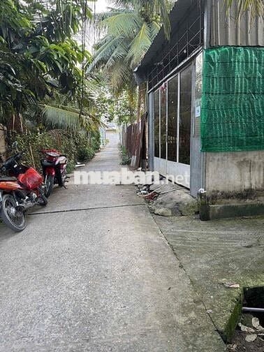 cần bán đất nền diện tích 254m2