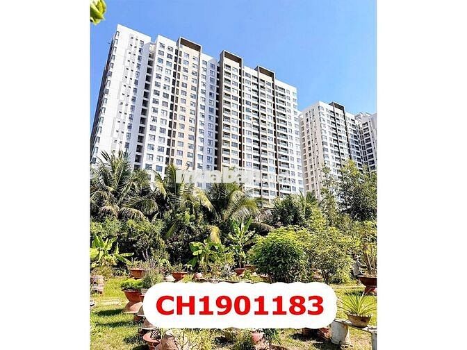 Đất MT Khu Võ Văn Kiệt - 24 x 80M - 59 Tỷ - Quận Bình Tân