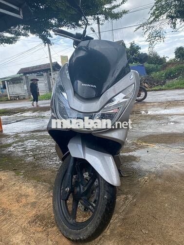 Honda PCX