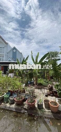 Chính chủ cần bán lô đất 150 KDC Long Thới, Nhà Bè TP HCM.