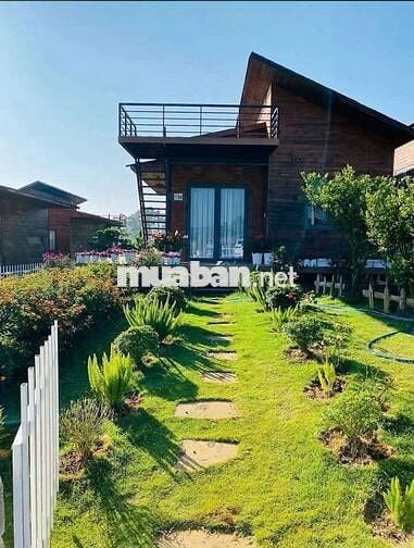 NGỘP BANK lô đất vườn có nhà gỗ sẵn view đẹp tại Lạc Dương chỉ 990tr