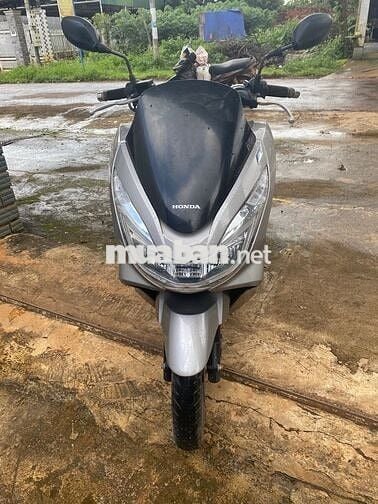 Honda PCX
