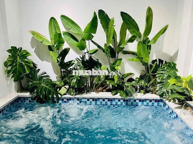 💥CHÀO BÁN VILLA MINI SÂN VƯỜN TT  ĐÀ NẴNG  - DÒNG TIỀN 15tr/th 💥
