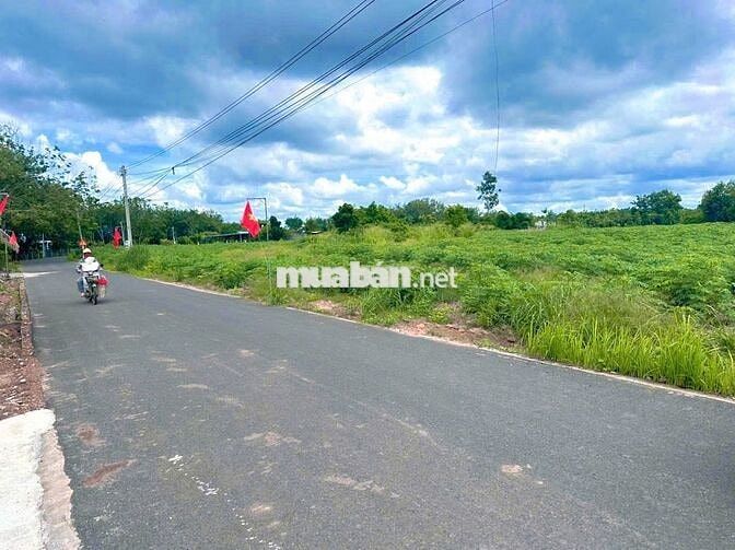 Đất thổ cư nở hậu DT 848,1m2, đường nhựa, dân cư đông tại Bình Dương